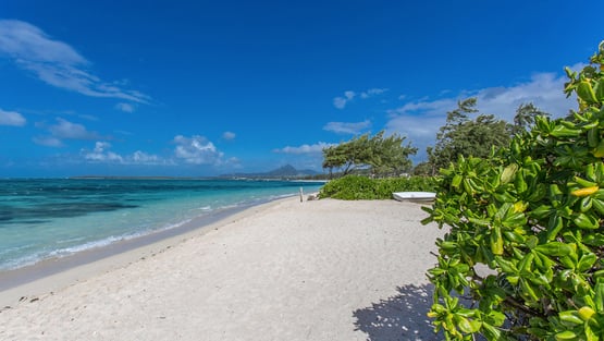 Villa Villa Tourmaline, Rental in Mauritius East