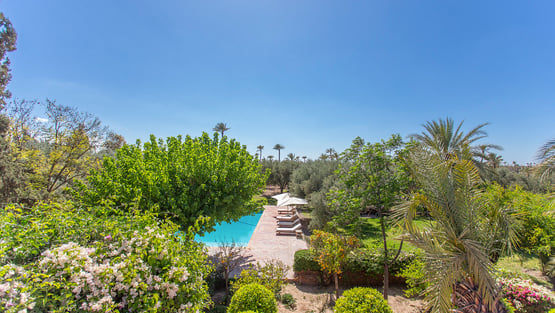 Villa Royaume des Oliviers, Location à Marrakech